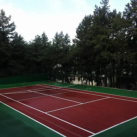 Elafos 3*