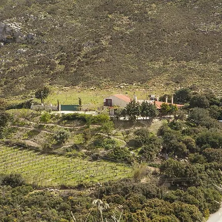 Hotel Elafos Sálakos