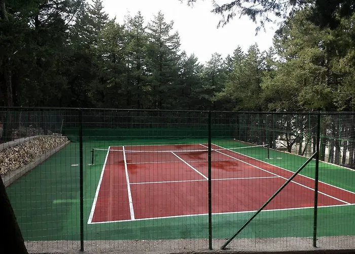 厄拉佛斯酒店 酒店 Sálakos