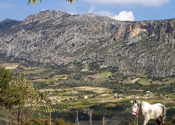 Ξενοδοχείο έλαφος